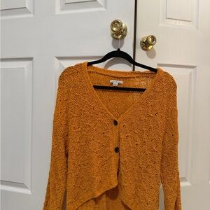 American Eagle Crop Cardigan